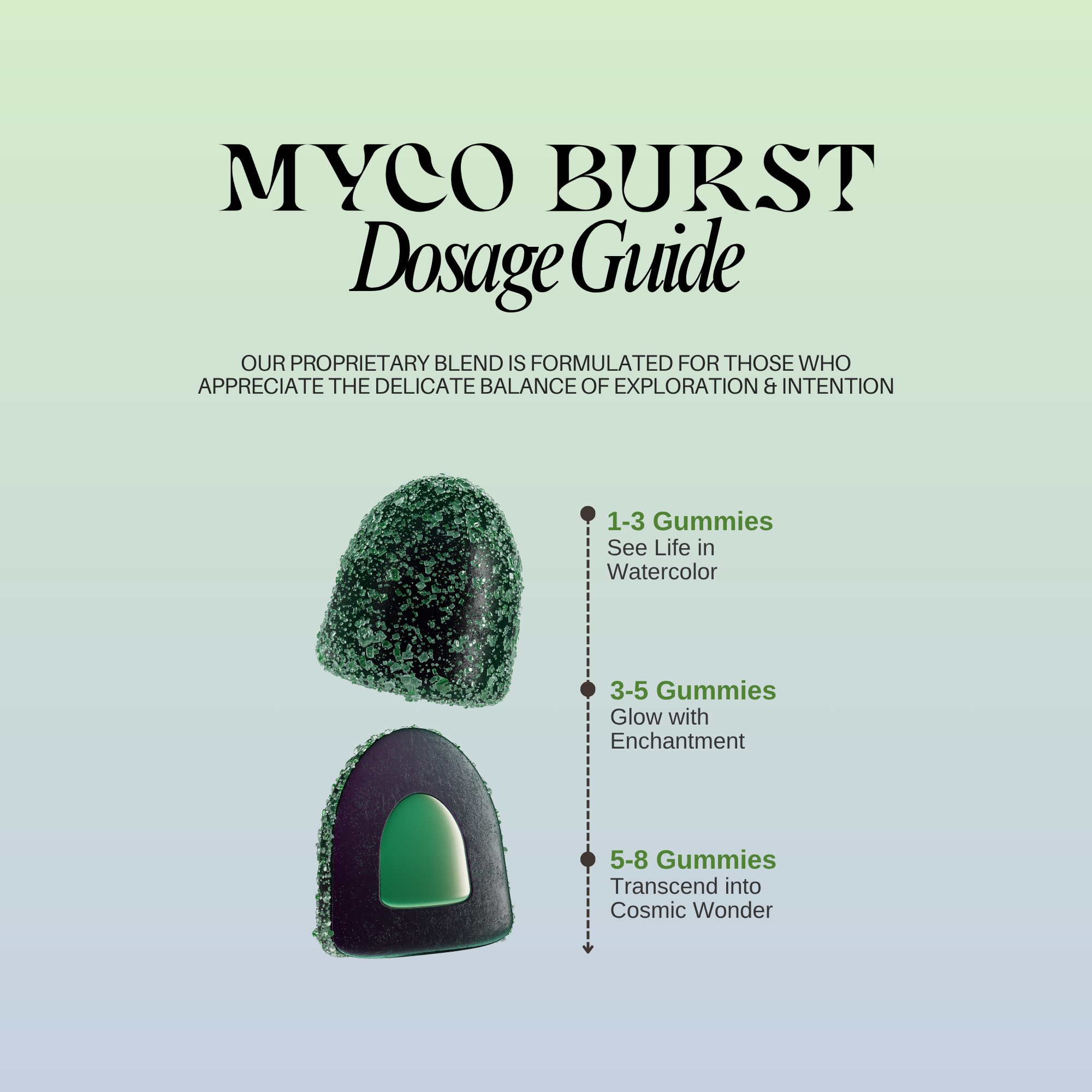 MycoBurst Dosage Guide showing guidelines for 1-3 gummies, 3-5 gummies, and 5-8 gummies