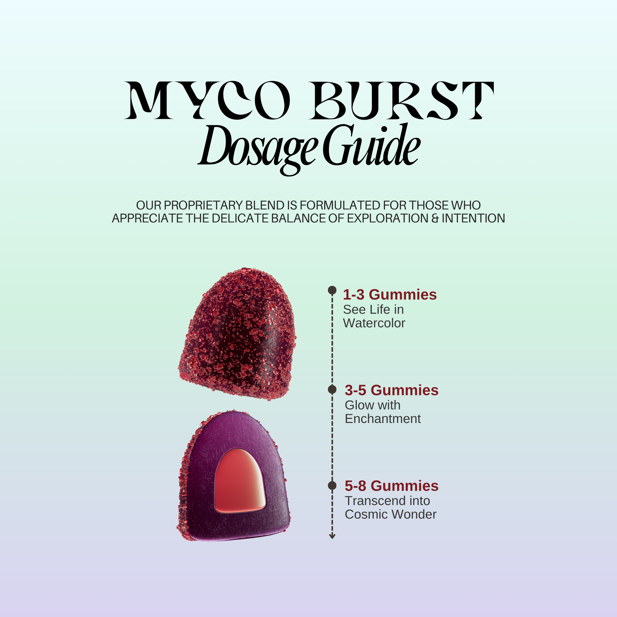 MycoBurst Dosage Guide showing guidelines for 1-3 gummies, 3-5 gummies, and 5-8 gummies